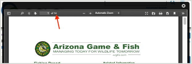 PDF viewer with the page number indicater at the top of the viewer highlighted.