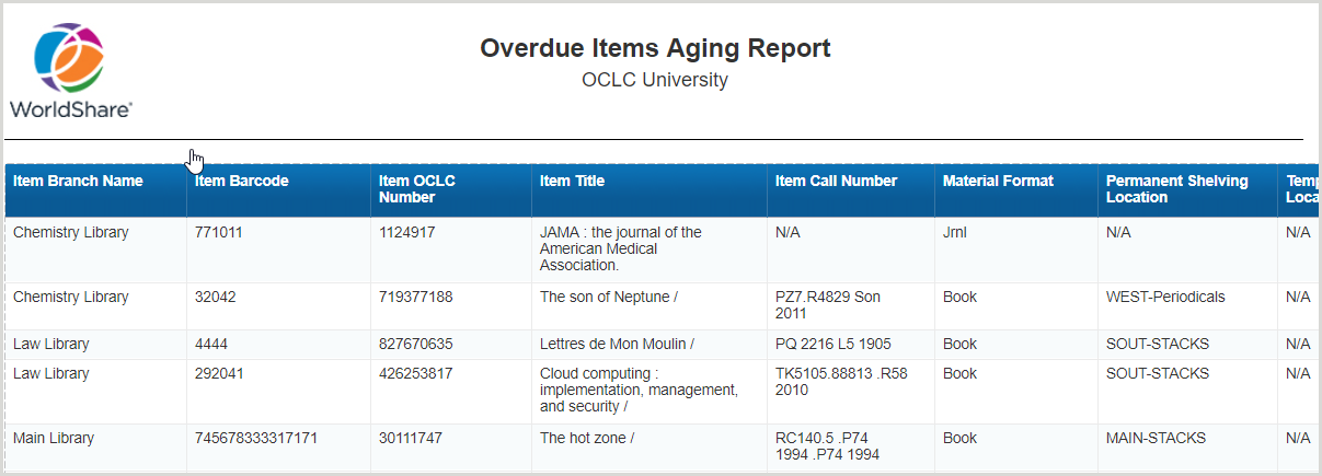 Overdue Items Aging Report